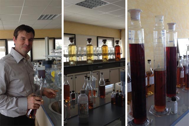 Cognac Hardy Lab Collage